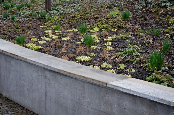 Concrete Wall Construction in Pickerington