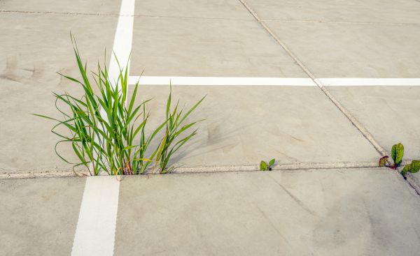 Concrete Parking Installation in Pickerington